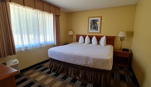 Single Room, 1 Bedroom