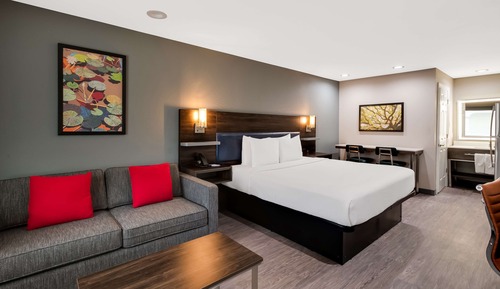 Suite, 1 King Bed, Non Smoking, Kitchenette (Shower Only;with Sofabed)