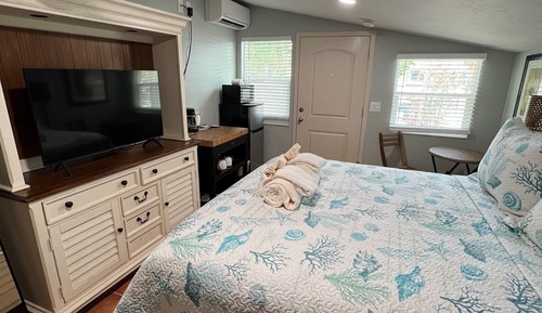 Junior Room, 1 Queen Bed, Refrigerator & Microwave (Birdhouse )