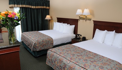 Standard Double Room, 2 Queen Beds