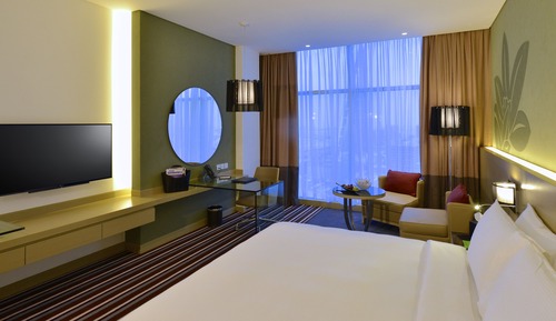 Room, 1 King Bed (Guest)