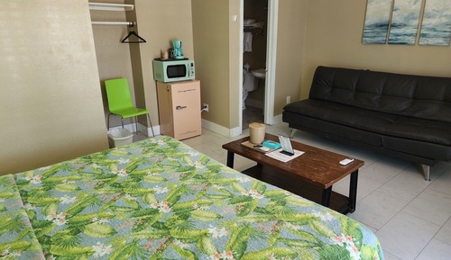 Room, 1 King Bed with Sofa bed