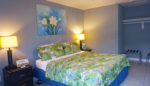 Standard Room, 1 King Bed, Non Smoking