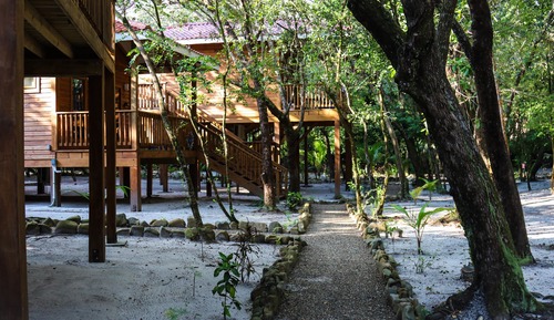 Deluxe Tree House, 2 Queen Beds, Garden View, Garden Area