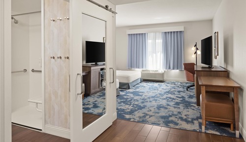 Room, Accessible, Non Smoking (Roll-in Shower)