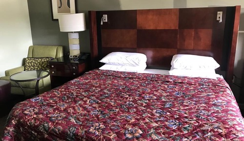 Standard Room, 1 King Bed, Non Smoking