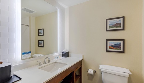 Suite, 1 King Bed with Sofa bed, Non Smoking (Shower, 2 Person Sofa Bed)