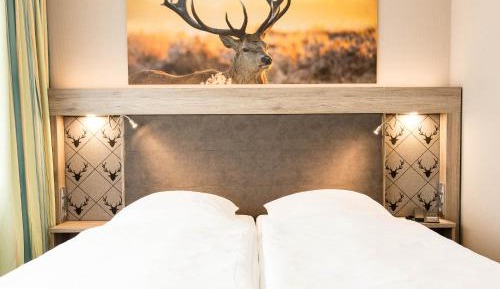 Premium Double Room