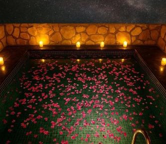 Double or Twin Room with Swimming Pool Access