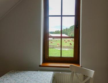 Large Double Room