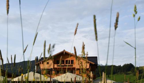 One-Bedroom Apartment with Balcony and Mountain View  