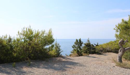 Two-Bedroom Apartment - Oceanfront 