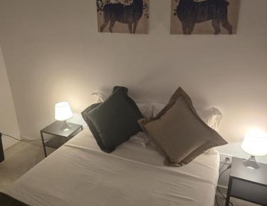 Basic Triple Room with Shared Bathroom