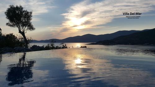 Studio with Garden View