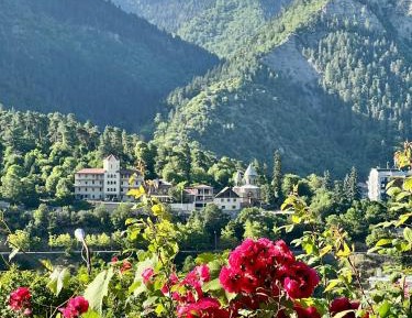 Double Room with Mountain View