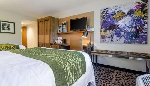 Queen Room with Two Queen Beds - Non-Smoking