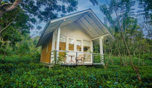 Superior Chalet