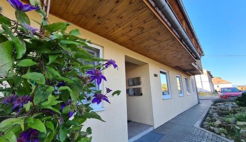 Apartment with Garden View