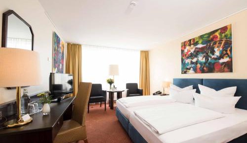Standard Double Room partly with Basel or Mountain View 