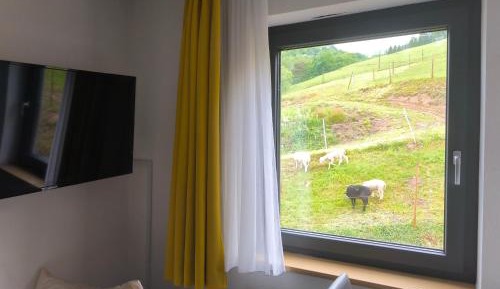 Double Room with Mountain View