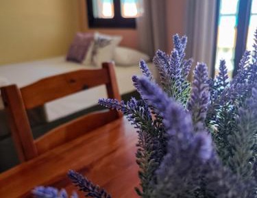 One-Bedroom Apartment with Balcony