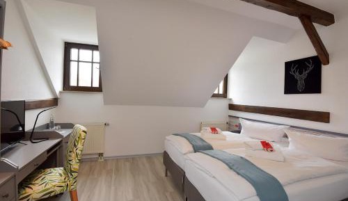 Double or Twin Room with Extra Bed