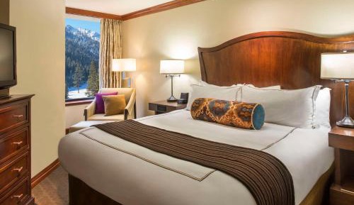 Suite with Fireplace and Forest View