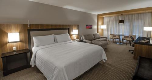 Junior King Suite - Lounge Access