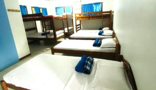 Single Bed in Mixed Dormitory Room