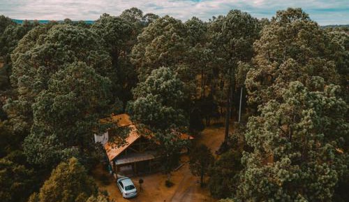 Three-Bedroom Chalet