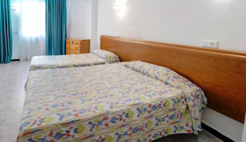 Large Premium Room (2 Adults + 1 Child up to 14 years)