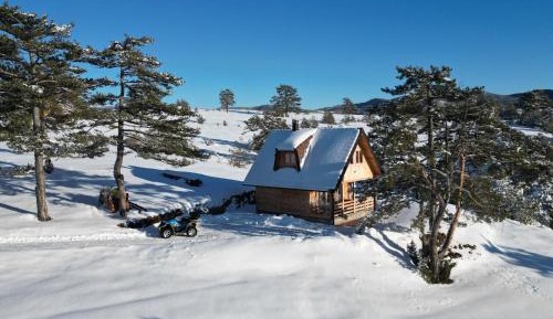 One-Bedroom Chalet