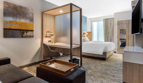 Suite, 1 King, Sofa bed