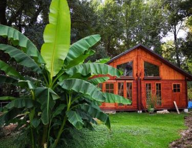 Cottage with Garden View