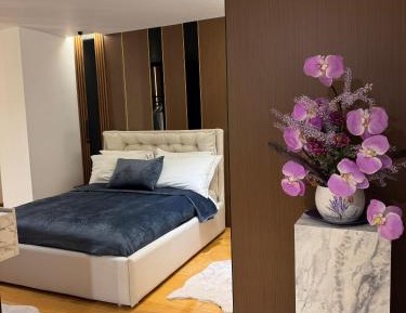 Apartment with City View