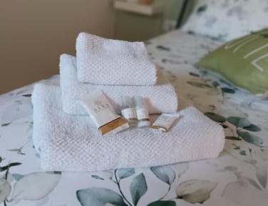 Deluxe Room (2 Adults + 1 Child)