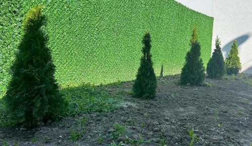 King Studio with Sofa Bed