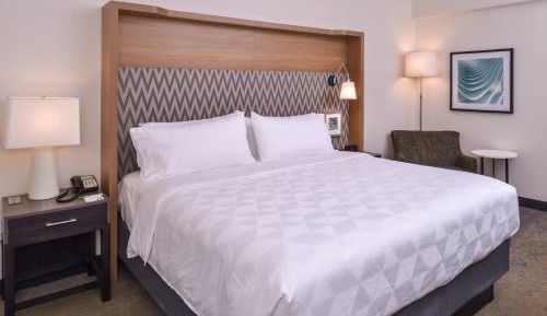 Standard King Room with Mobility Accessible Roll-In Shower