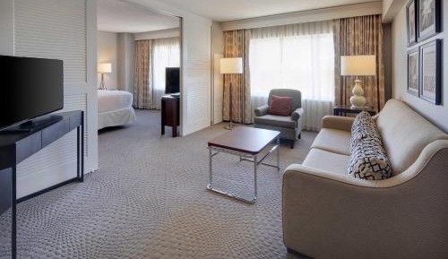 Deluxe, Suite, 1 King, Alternate bed: sofa bed, Sofa bed