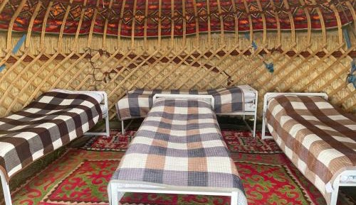 Bed in Male Dormitory Room