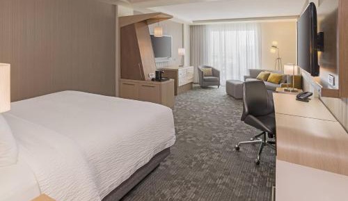 1 Bedroom Junior Suite, 1 King, City view