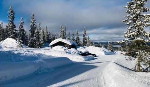 Three-Bedroom Chalet