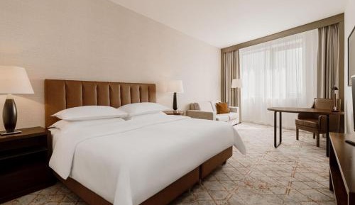 Deluxe, Larger Guest room, 1 King, Sofa bed