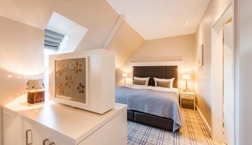 Large Junior Suite
