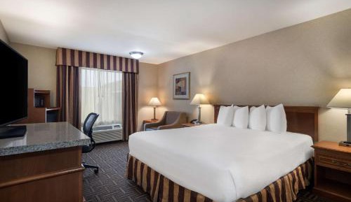Business King Room