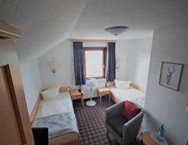 Twin Room with Mountain View