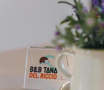 Double or Twin Room with Terrace