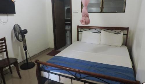 Superior Room: : Free pick up from Bus /Railway station & 1/2 day city tour