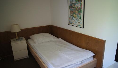 Budget Single Room