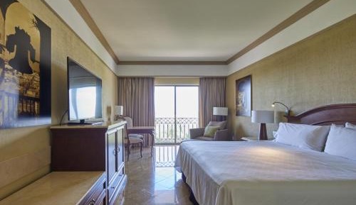 Superior Room 1 King